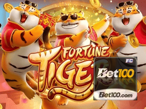 Guia install APK BET100 BR
